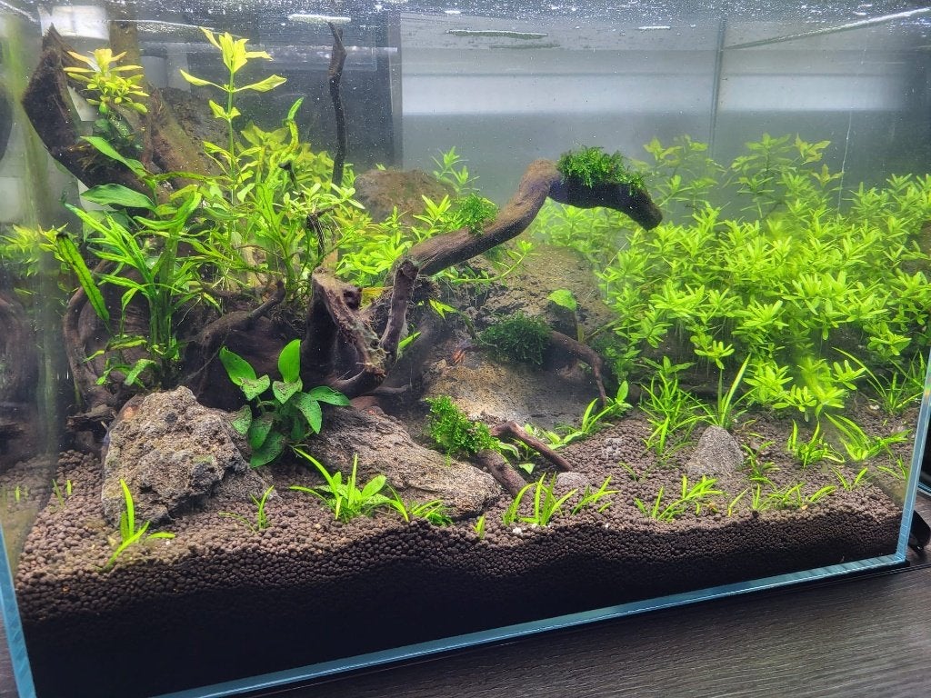 Aquascape aquarium, Dieren en Toebehoren, Ophalen, Inclusief toebehoren, Zo goed als nieuw, Leeg aquarium