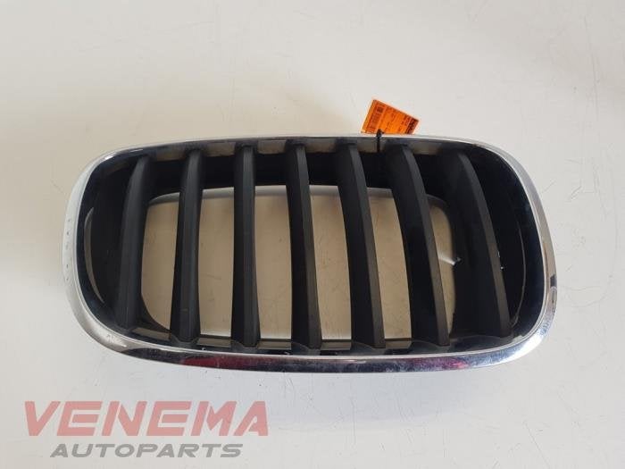 Calandre d'un BMW X5 (475), -, 3 mois de garantie, Utilisé, -