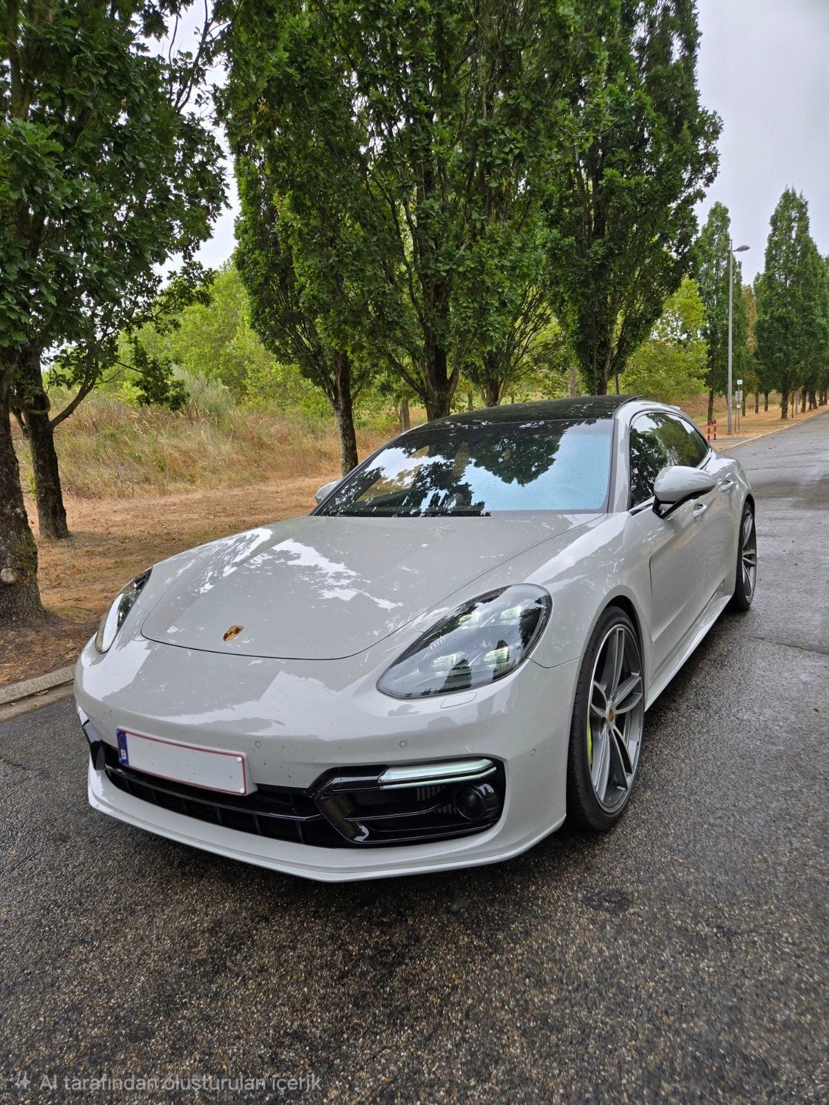 Porsche Panamera turbo s e-hybrid 2018 4.0 TWINTURBO 680 PS, Autos, Cuir, Argent ou Gris, Achat, Entretenue par le concessionnaire