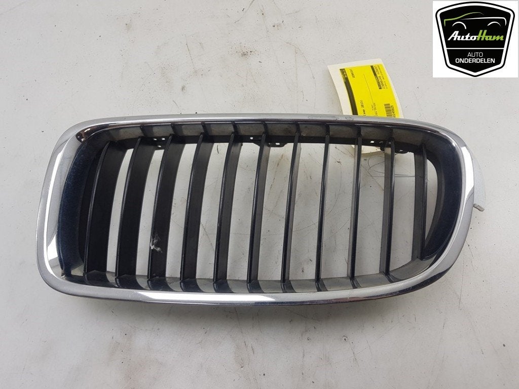 GRILLE BMW 3 serie (F30) (01-2011/10-2018) (|51137255411|), Dhr. J. Ham, Gebruikt, Administratie@autoham.nl, BMW