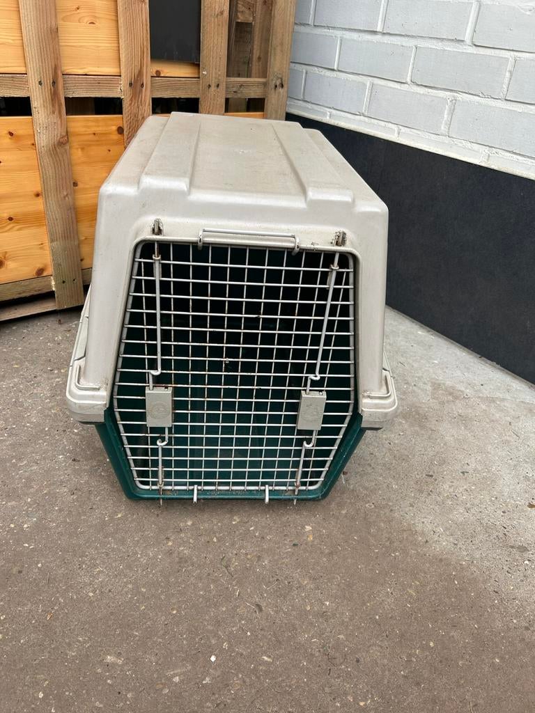 Honden bench, Ophalen, Hondenkennel, Gebruikt, Minder dan 65 cm
