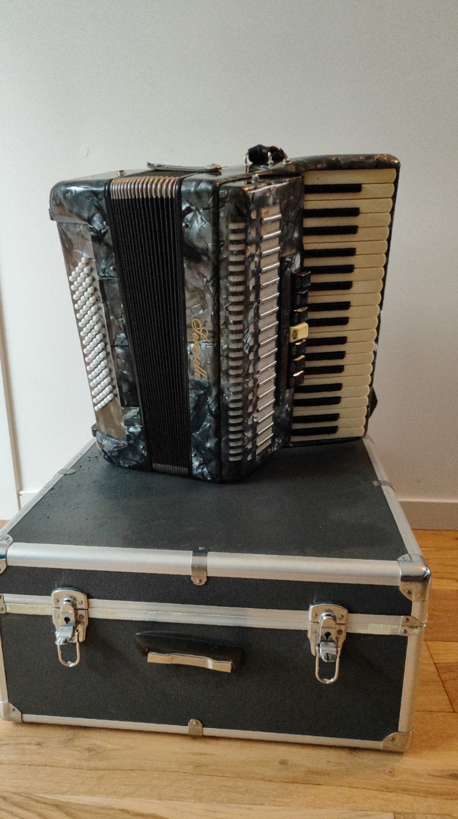 Prachtige Serenellini 37/80 Accordeon, Musique & Instruments, Avec valise, Enlèvement, Utilisé, Accordéon à touches