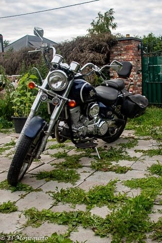 Daylim daystar 125cc