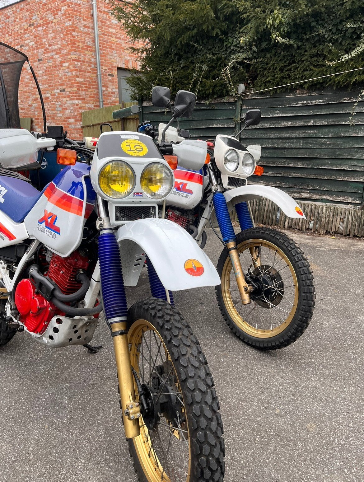 Honda xl600lm, Motoren, Ophalen of Verzenden, Nieuw