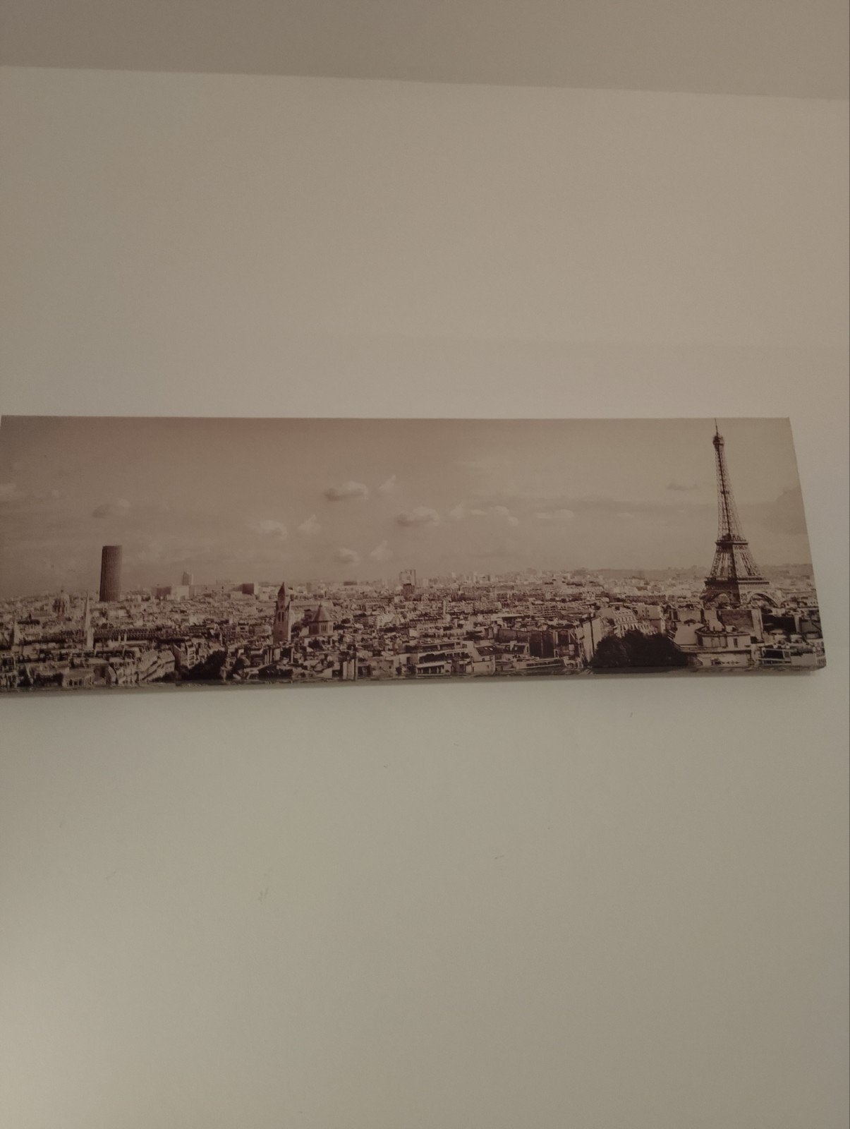 Lithographie panoramique de Paris, Enlèvement ou Envoi, Lithographie