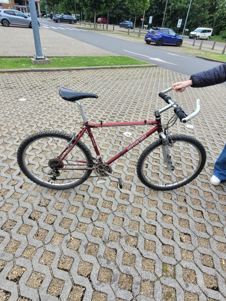 VTT Américain Eagle Mamoth by concord, Vélos & Vélomoteurs, Vélos | Hommes | Vélos pour homme, Enlèvement