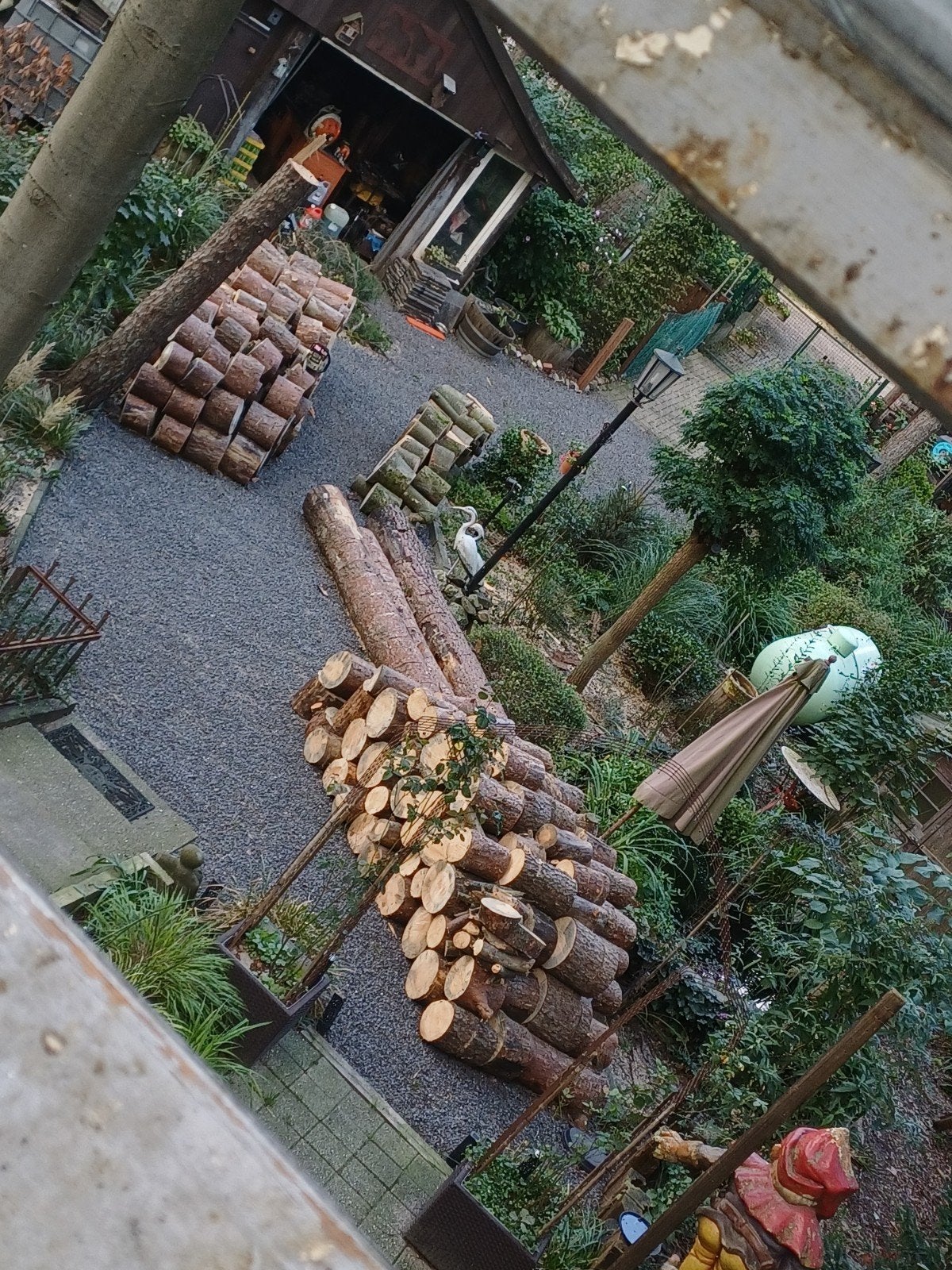 brandhout (20m3), 6 m³ of meer, Ophalen, Overige houtsoorten, Blokken