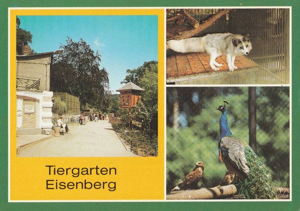 DIERENTUIN  EISENBERG, Verzamelen, Ophalen of Verzenden, Ongelopen, Overige soorten