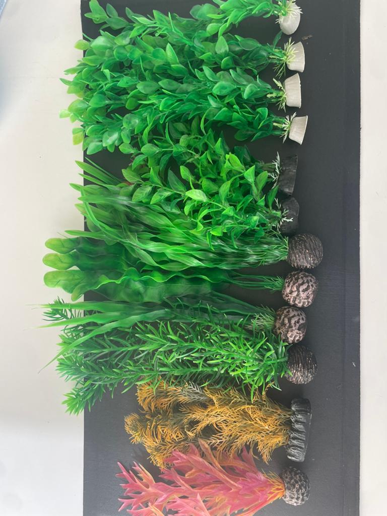 12 nepplantjes voor in je aquarium, Dieren en Toebehoren, Vissen | Aquaria en Toebehoren, Ophalen, Zo goed als nieuw, Plant(en), Steen of Hout