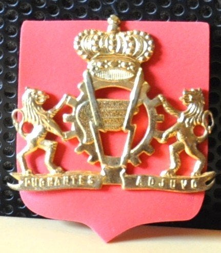 badge de beret service logistique armée belge, Collections, Objets militaires | Général, Enlèvement ou Envoi, Armée de terre, Emblème ou Badge