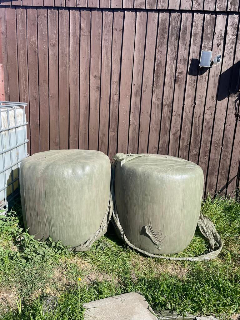 Midi balen hooi, Zakelijke goederen, Landbouw | Veevoer, Ophalen