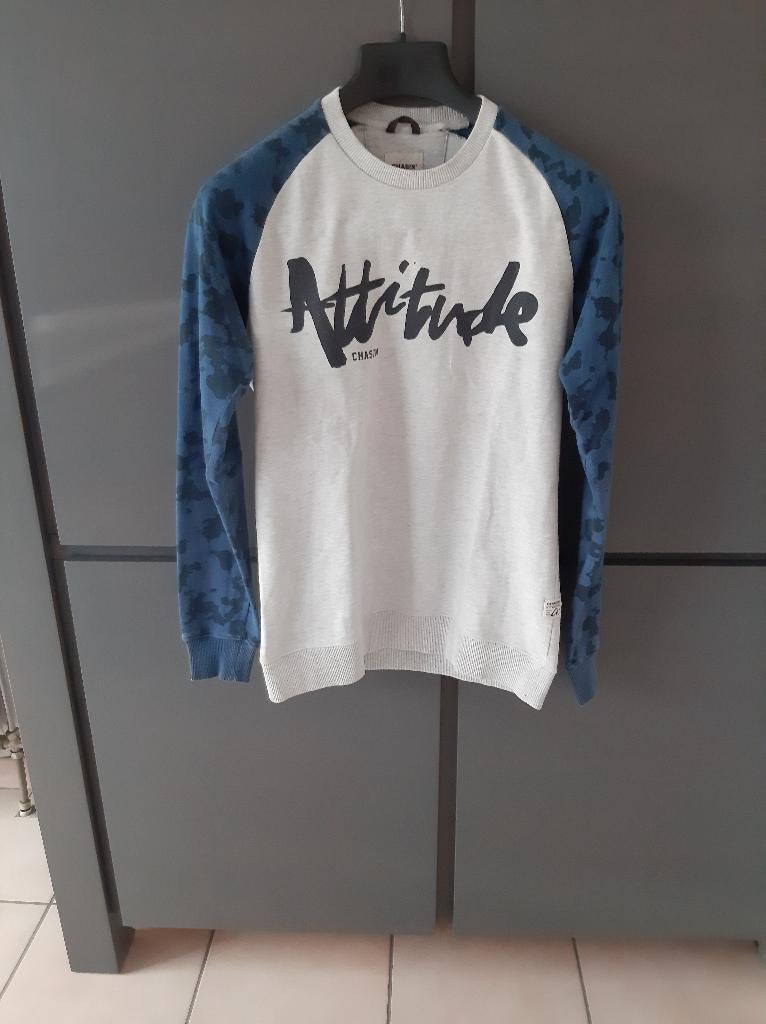 Sweater heren maat medium, Ophalen of Verzenden, Blauw