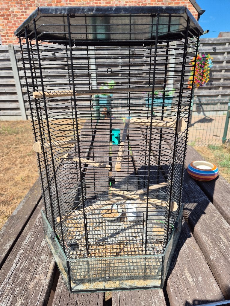 Vogelkooi, Enlèvement, Utilisé, Métal, Cage à oiseaux