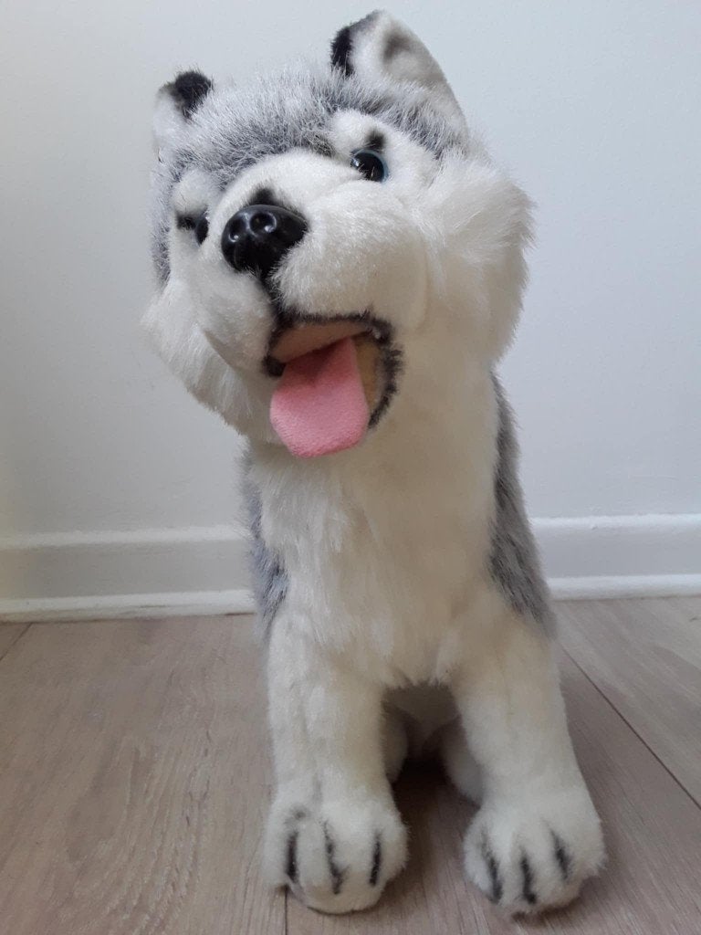 Peluche chien husky 35 cm, Enfants & Bébés, Enlèvement ou Envoi, Comme neuf, Chien