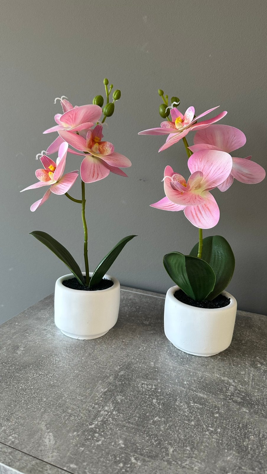Kunstbloemen, Enlèvement, Comme neuf