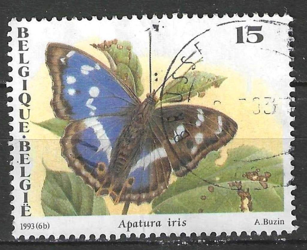 Belgique 1993 - Yvert/OBP 2504 - Nature - Papillons (ST), Envoi, Affranchi, Oblitéré