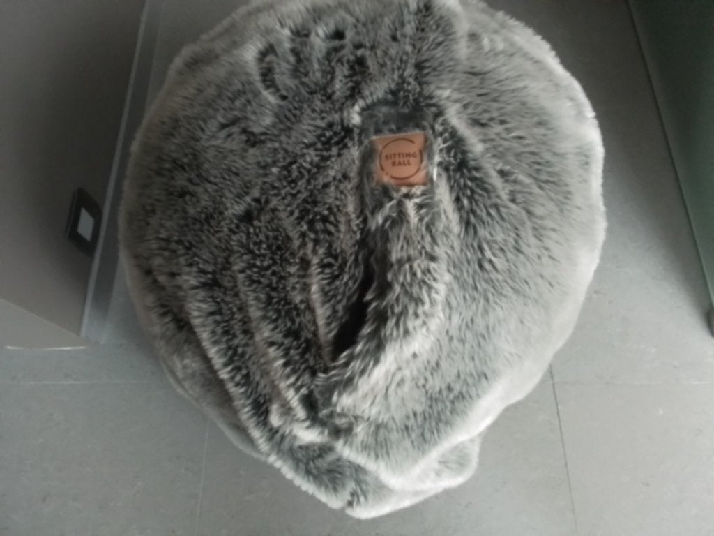 Ergonomische sitting ball zitbal Fluffy, Ophalen, Zo goed als nieuw