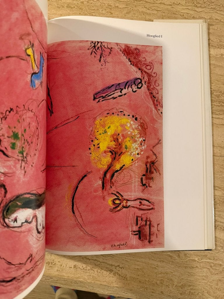 Bijbelse boodschap van chagall in pastel - P Provoyeur, Livres, Art & Culture | Arts plastiques, Peinture et dessin, Enlèvement ou Envoi