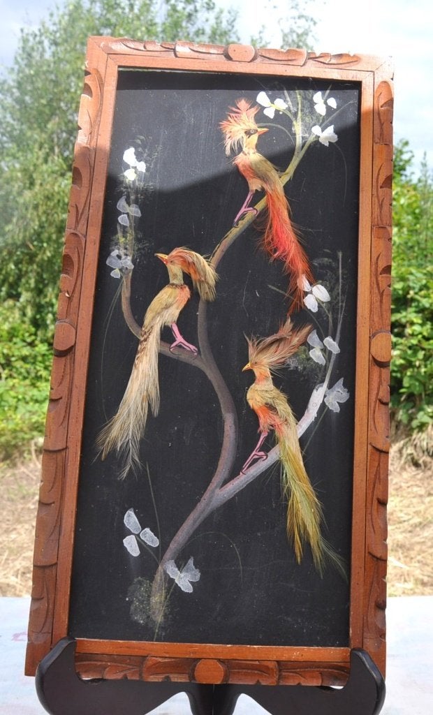 peinture sur panneau avec oiseau en plume tour bois, Enlèvement ou Envoi, Animaux, Panneau