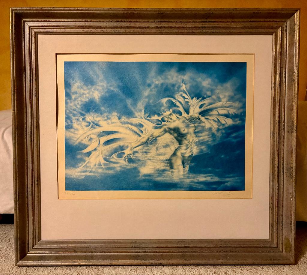 Zeefdruk airbrush David de Graef, Envoi