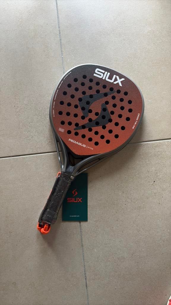 Nieuwe Siux Pegasus Elite 2026 padel racket, Enlèvement ou Envoi, Neuf, Raquette de padel