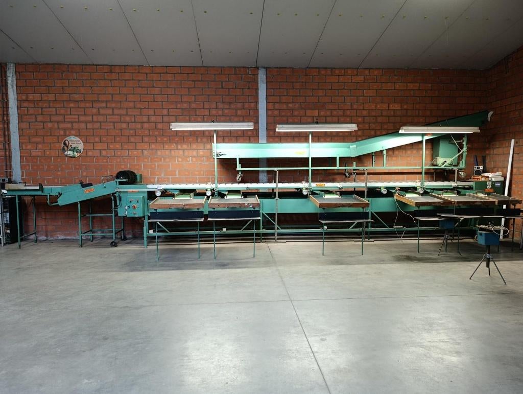 sorteermachine tomaten appelen fruit groenten trieermachine, Ophalen