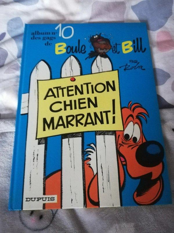 BD Boule en Bill N10 (1976), Gelezen, Eén stripboek, Ophalen of Verzenden, Roba