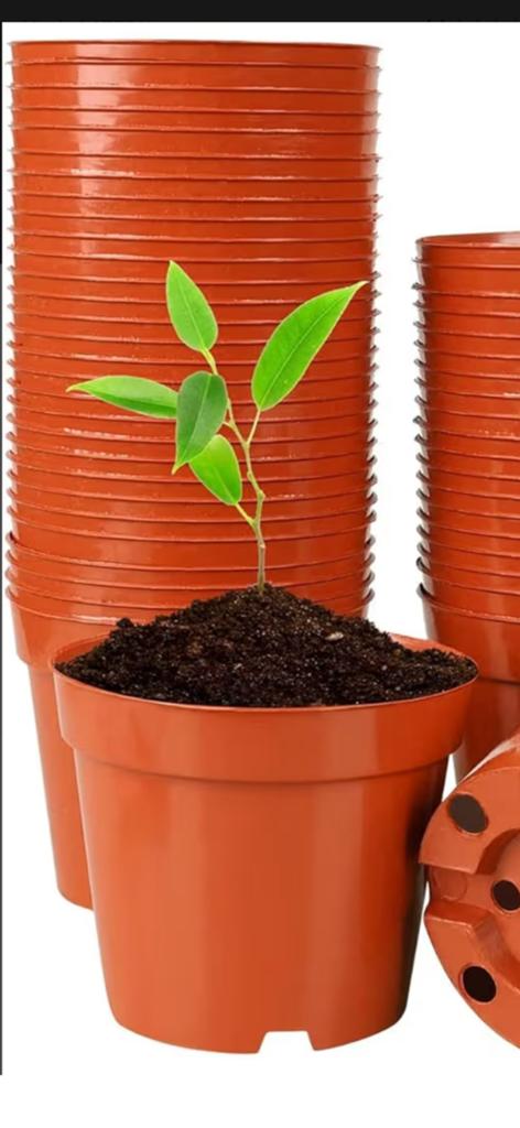 Gezocht bloempotjes, Tuin en Terras, Kweekspullen, Ophalen, Gebruikt