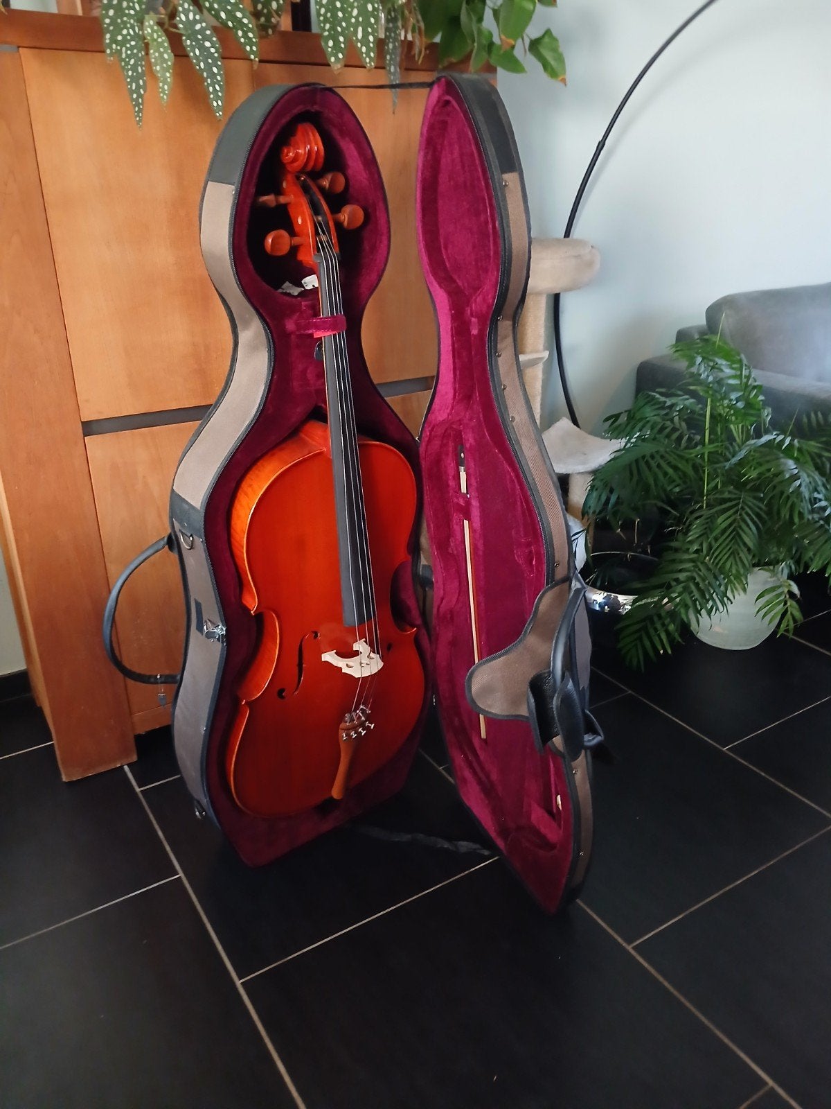4/4 cello met koffer, Musique & Instruments, Enlèvement, Neuf, Avec valise