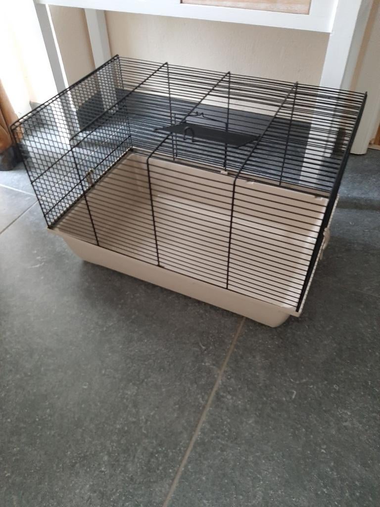 Kooi, Dieren en Toebehoren, Ophalen, Kooi