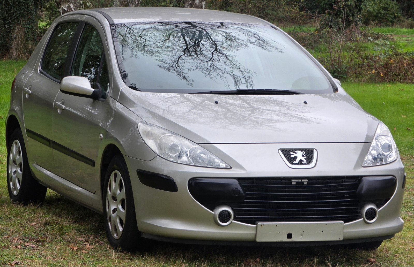 peugeot 307 1.4 benzıne bj 2006 (aırco) 120000 km gekeurd, Autos, Achat, https://public.car-pass.be/vhr/72e924cc-6fac-4296-9108-b5249f7337d6