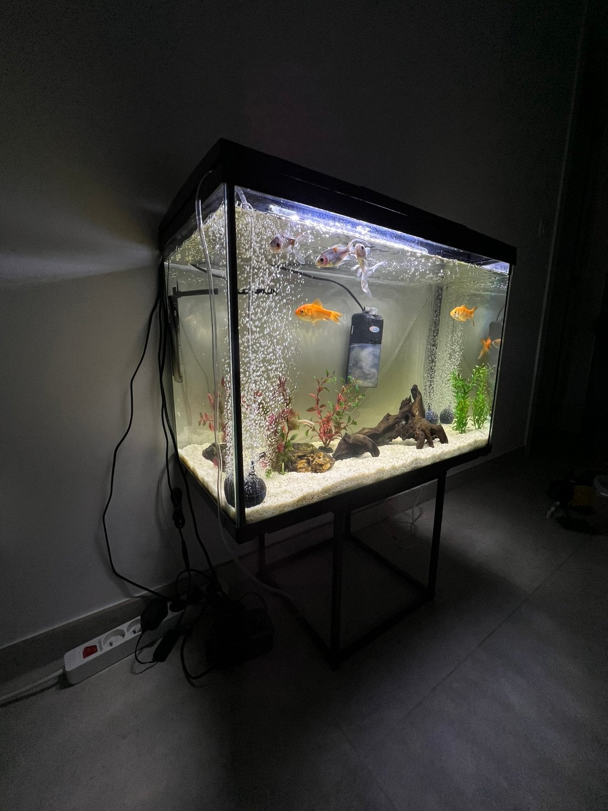 Complete aquarium set. Met veel accessoires, Dieren en Toebehoren, Vissen | Aquaria en Toebehoren, Ophalen, Decoratie, Nieuw, Inclusief vissen