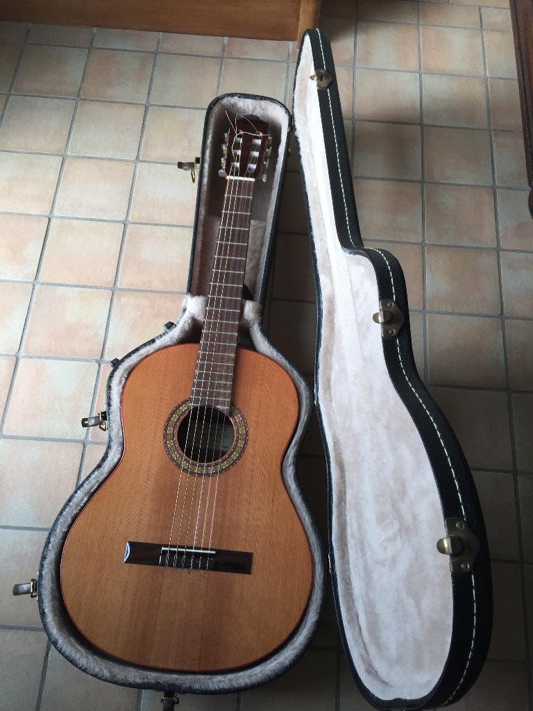 Akoestische gitaar P. Caballero incl. koffer, Enlèvement
