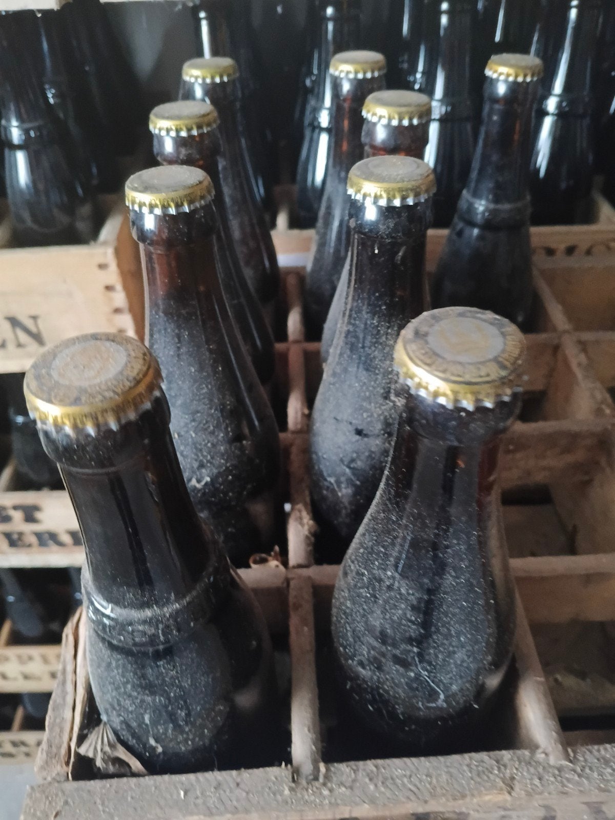 9 flesjes trappist Westvleteren 12 , 08/02/2009, Collections, Enlèvement, Bouteille(s), Autres marques