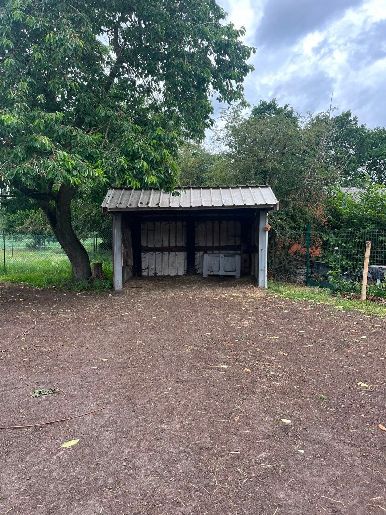 Gratis schuilstal af te halen, Dieren en Toebehoren, Stalling en Weidegang, 2 of 3 paarden of pony's