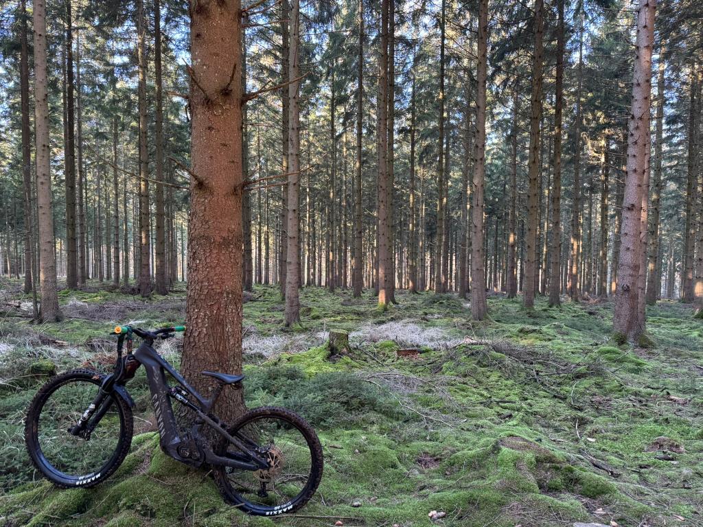 Canyon Strive:ON Underdog maat S, Fietsen en Brommers, Fietsen | Mountainbikes en ATB, Zo goed als nieuw, Ophalen
