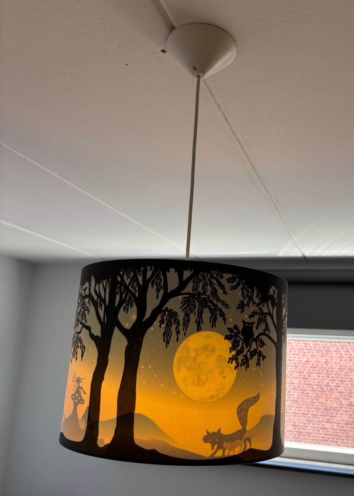 Hartendief wonderlamp Volle Maan, Ophalen, Zo goed als nieuw
