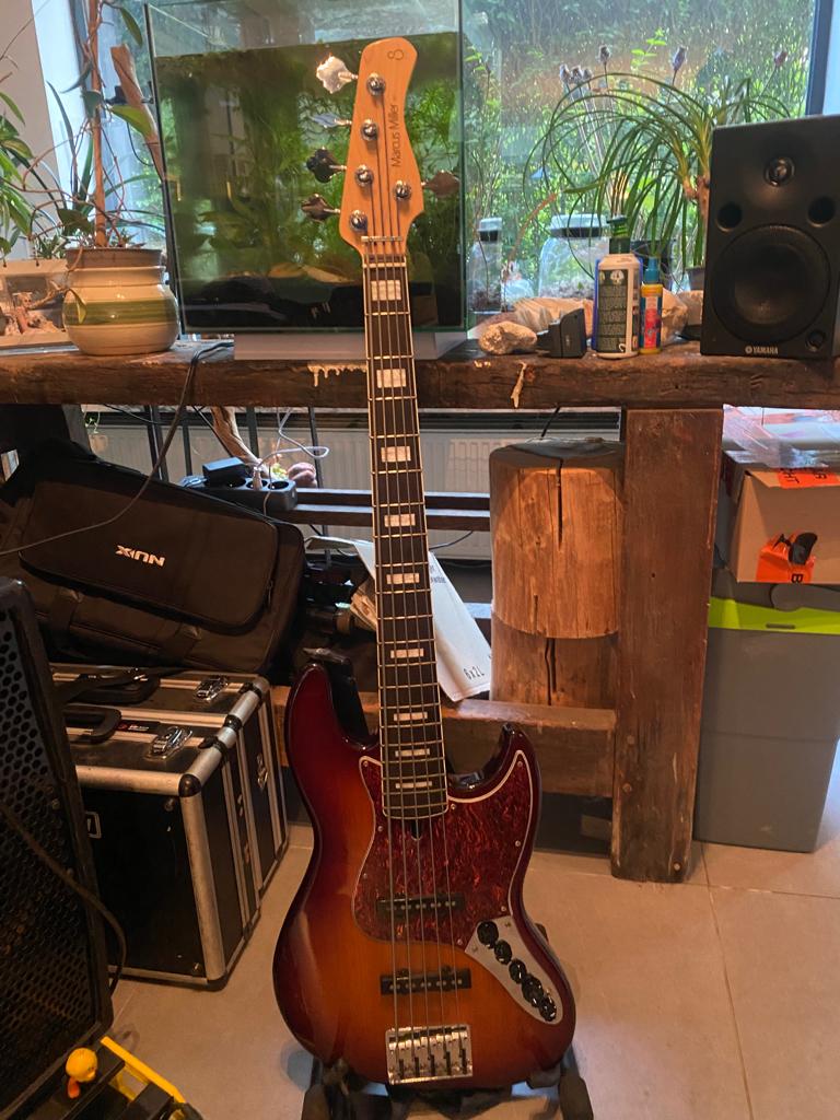 Basgitaar 5 string, Musique & Instruments, Instruments à corde | Guitares | Basses, Enlèvement, Neuf, Électrique, 5 cordes