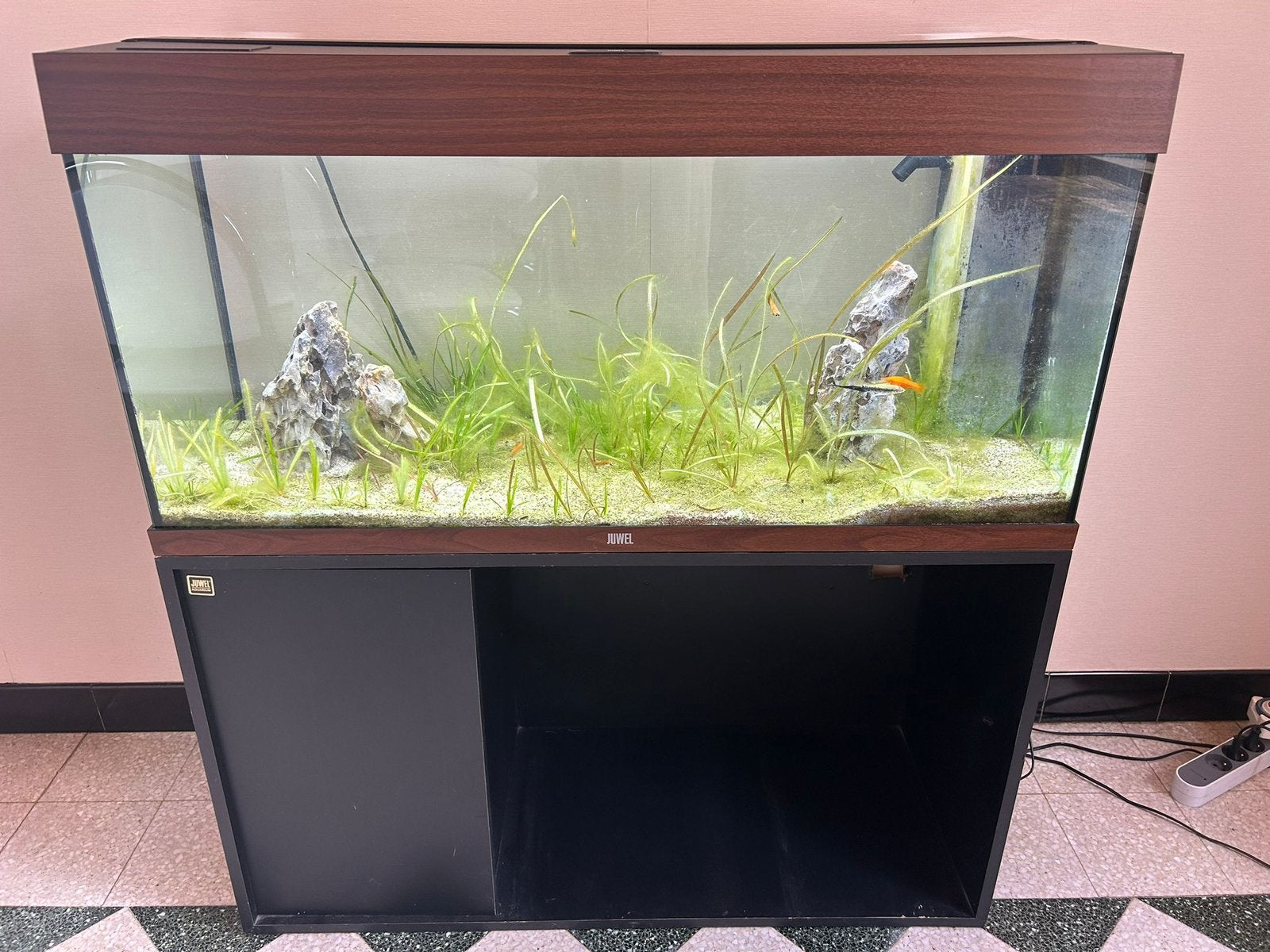 Aquarium silencieux + toutes les pièces, pompe, alimentation, Animaux & Accessoires, Enlèvement, Poissons inclus, Comme neuf, Aquarium d'eau douce rempli