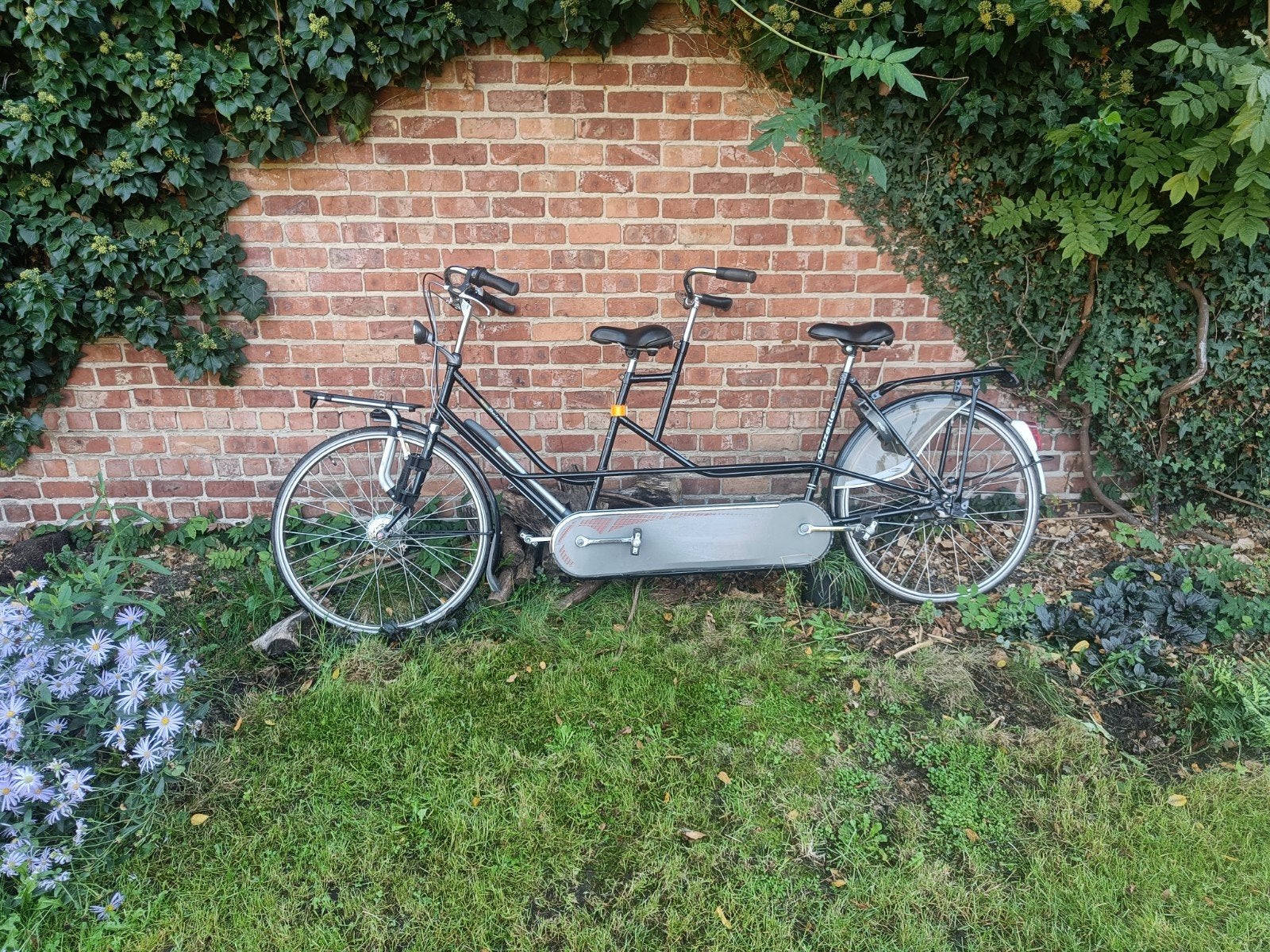 Tandem Gazelle, Fietsen en Brommers, Ophalen