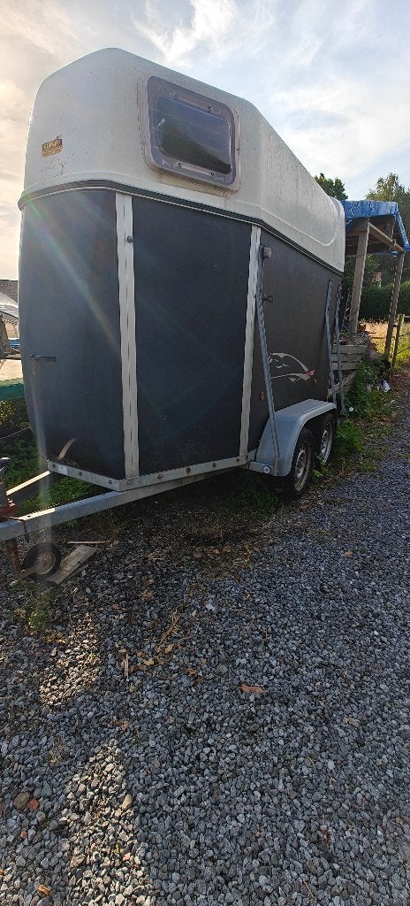 Sluis 1.5 Paardentrailer - Klusproject, Ophalen, Gebruikt, Hout, 1½-paards trailer