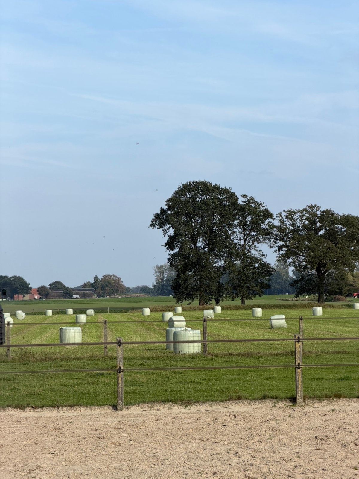 Midi balen voordroog, Dieren en Toebehoren