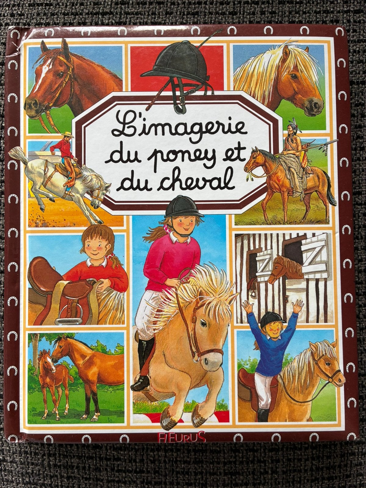 L’imagerie du poney et du cheval, Enlèvement