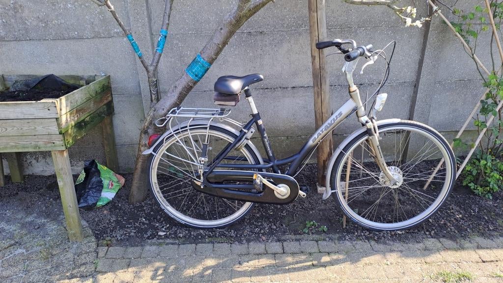 Vrouwenfiets Batavus, Fietsen en Brommers, Ophalen