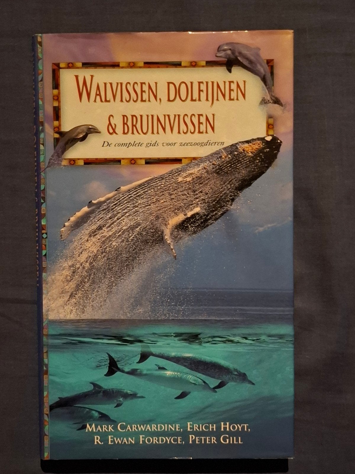Walvissen, dolfijnen & bruinvissen, Ophalen of Verzenden