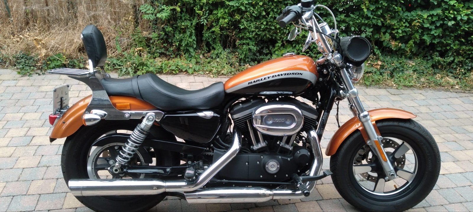 Harley Davidson custom, Motos, Occasion, Chopper, Particulier, 1200 cm³
