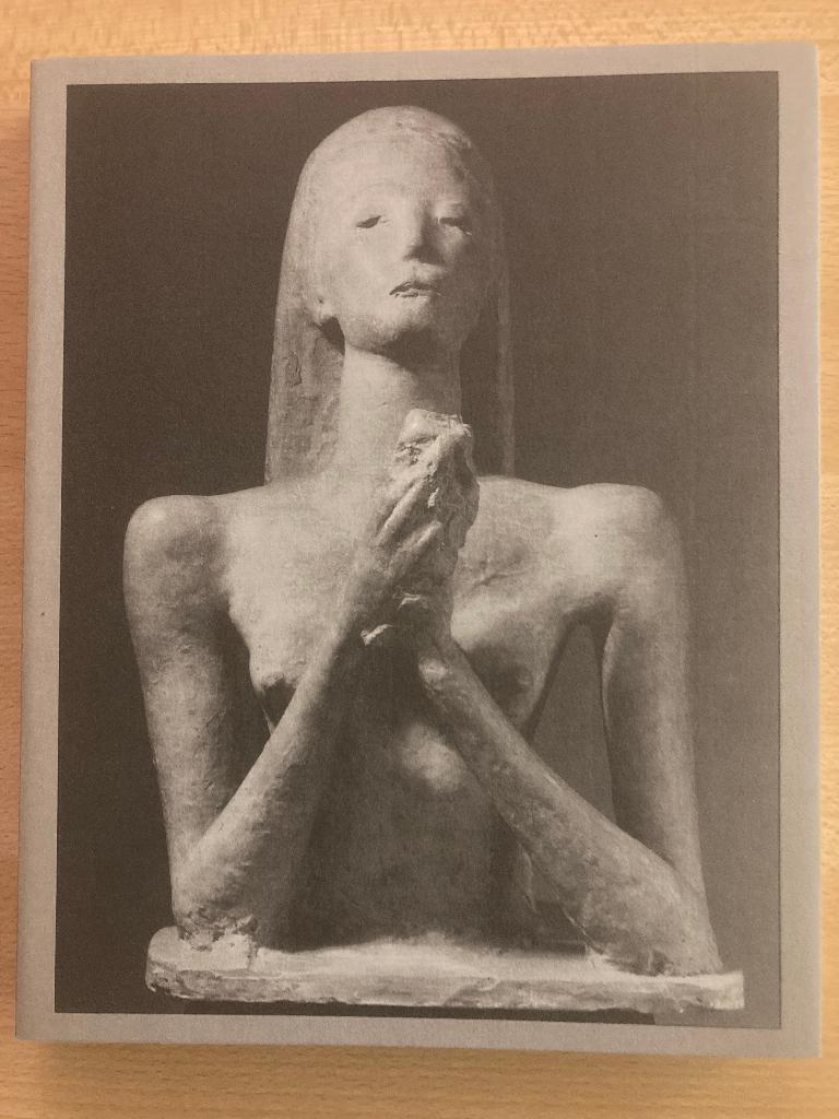 Wilhelm Lehmbruck, George Minne, Joseph Beuys, Boeken, Kunst en Cultuur | Beeldend, Ophalen of Verzenden, Zo goed als nieuw