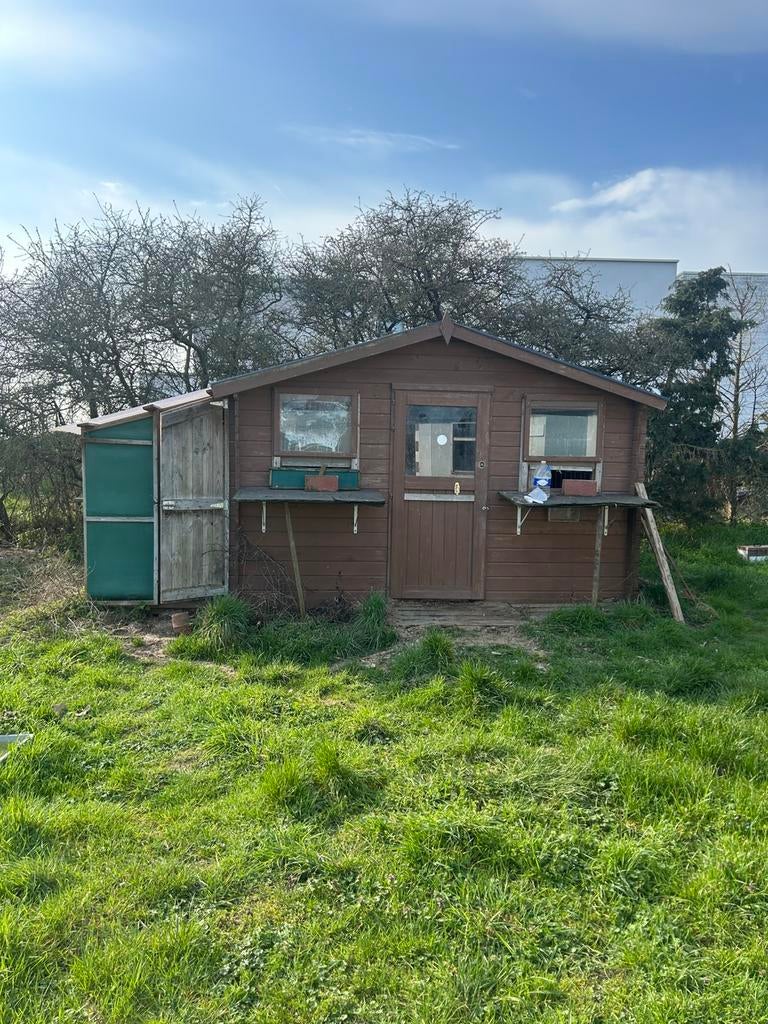 Duivenhok, Dieren en Toebehoren