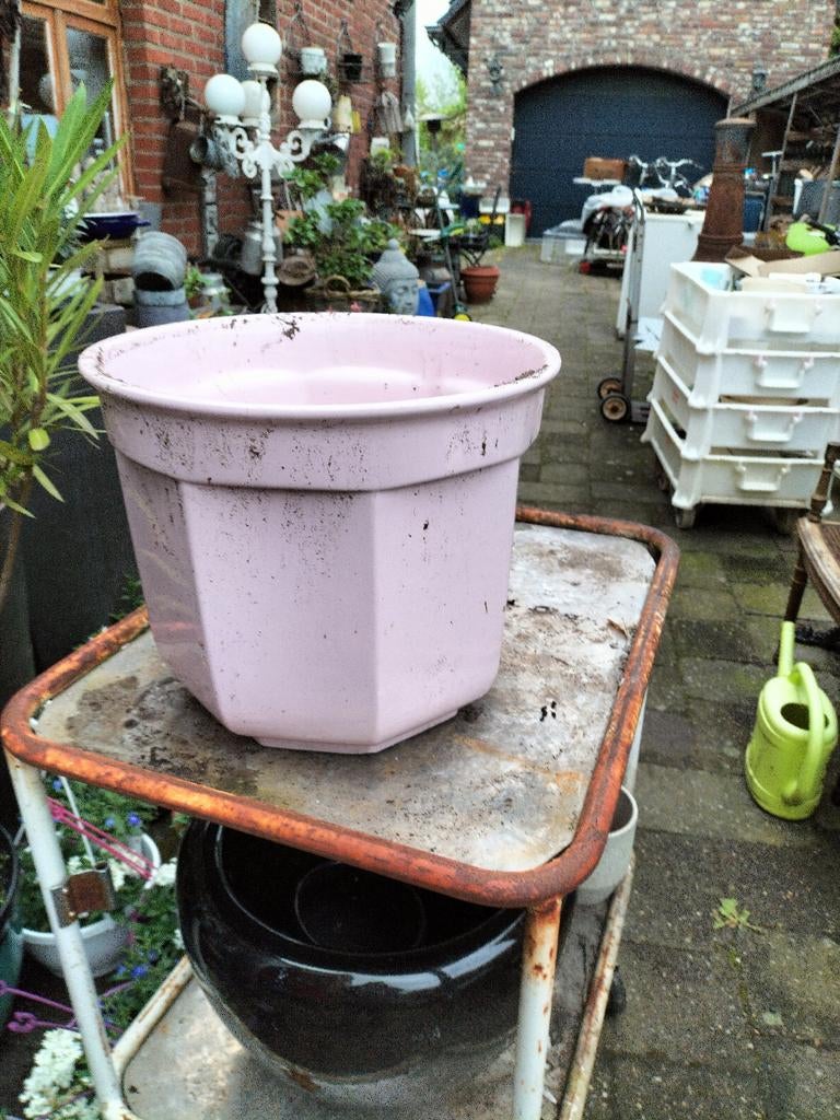 Grote keramieken bloempot, Enlèvement, Intérieur