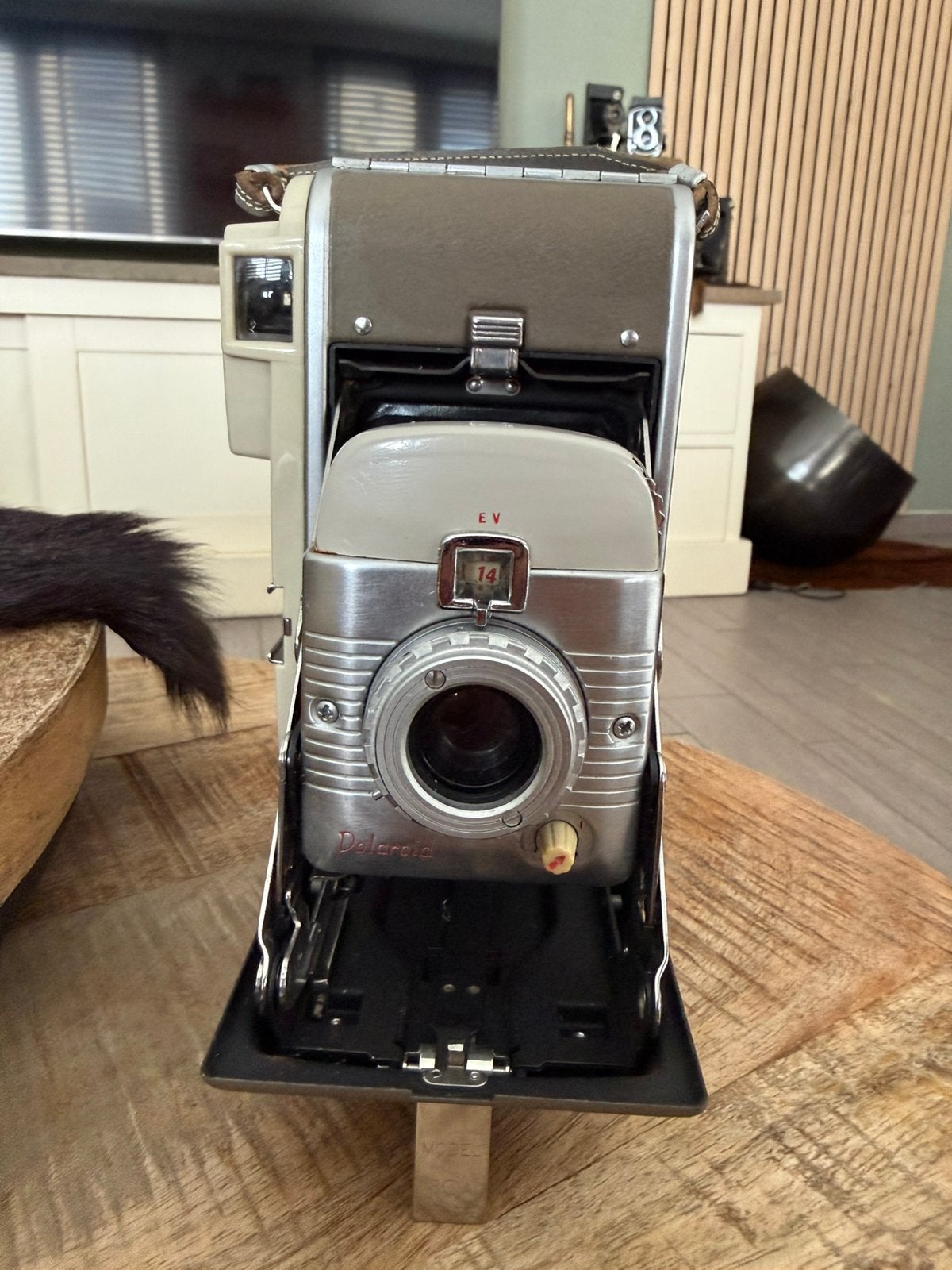 Polaroid, Ophalen of Verzenden, Gebruikt, Polaroid
